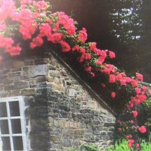 Meet your Posher, Adolph